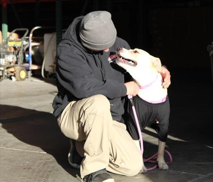 SERVPRO employee petting the company dog 
