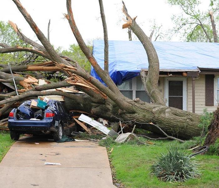 tree damaged car and house due to storm